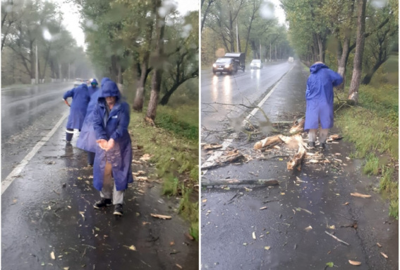 © Администрация Великого Новгорода