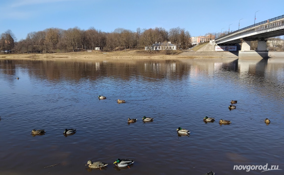 © Фото из архива интернет-портала «Новгород.ру»