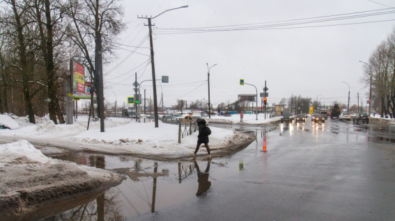 Новгородская Госавтоинспекция призывает водителей и пешеходов быть внимательнее на дороге