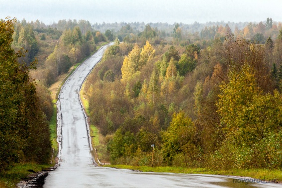 В 2020 году в Новгородской области планируют отремонтировать 340  км дорог