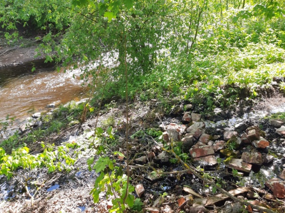 Из бочки мазута в Окуловском районе произошла утечка в реку Перетна