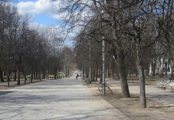 © Новости.Новгород.ру. 