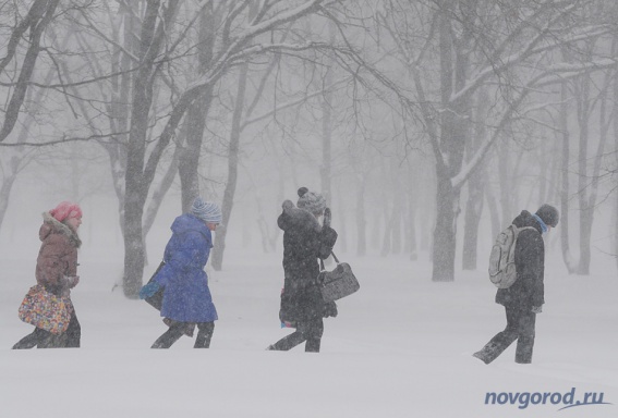 В Новгородской области ожидается штормовой ветер и сильный снег
