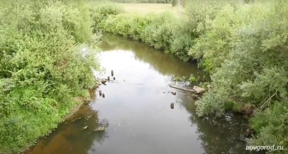 Следственный комитет проверит информацию о загрязнении рек в Крестецком районе