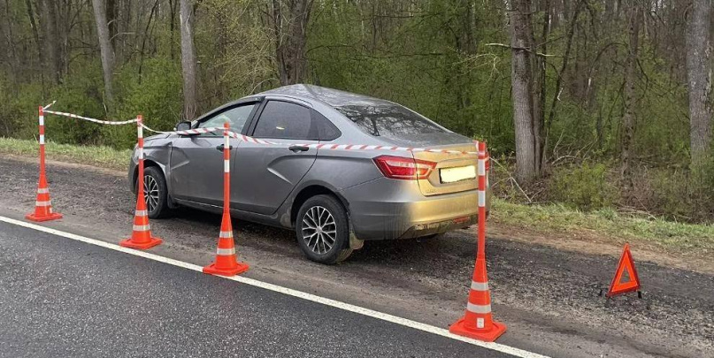 © УГИБДД России по Новгородской области