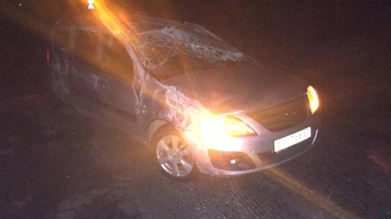 В Демянском районе в ДТП пострадал нетрезвый водитель