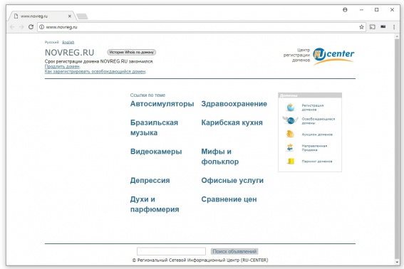 Скриншот сайта novreg.ru. 