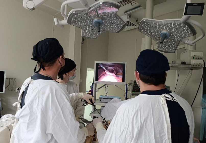 © Министерство здравоохранения Новгородской области