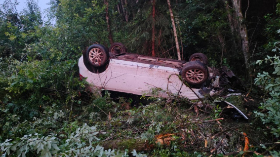 © УГИБДД России по Новгородской области