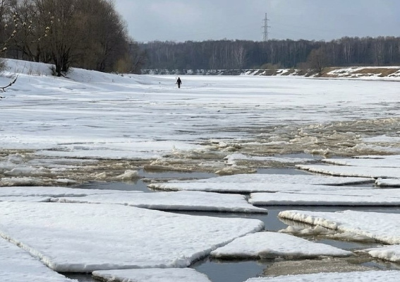 © Управление защиты населения Новгородской области