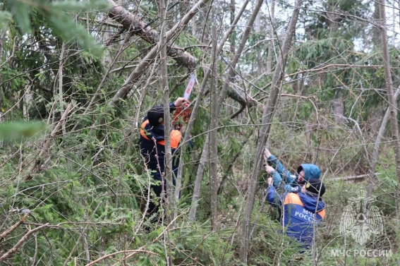 © ГУ МЧС России по Новгородской области