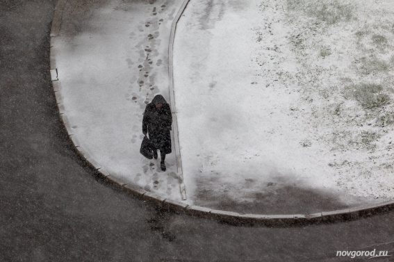 Мокрый снег ожидается в Новгородской области в среду