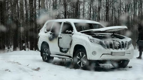 В МЧС назвали причины сгоревших в Новгородской области автомобилей