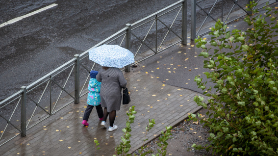 Небольшой дождь снова ожидается в Новгородской области в субботу