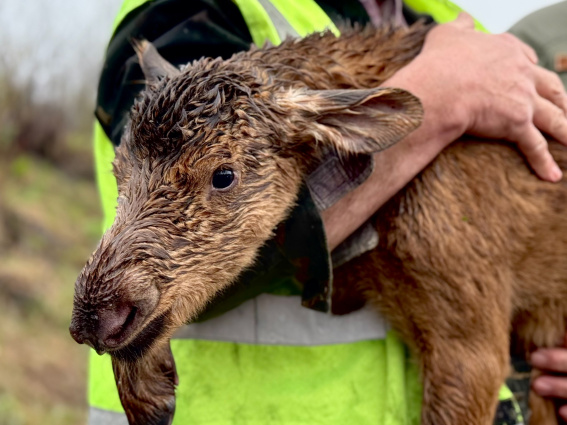 © Национальный парк «Валдайский» 