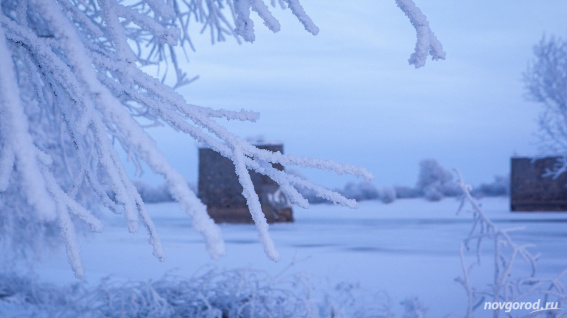Завтра в Новгородской области ожидается метель и мокрый снег