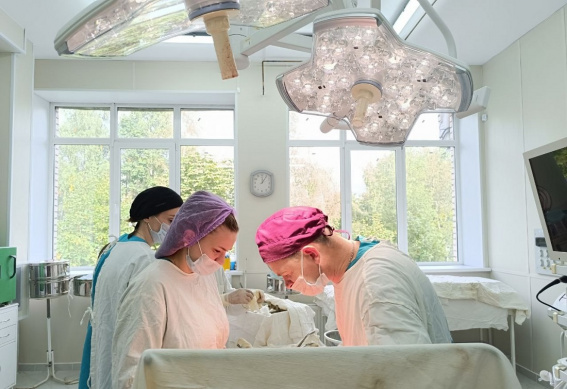 © Министерство здравоохранения Новгородской области