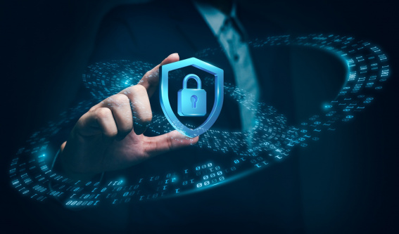 © Shutterstock / Pingingz