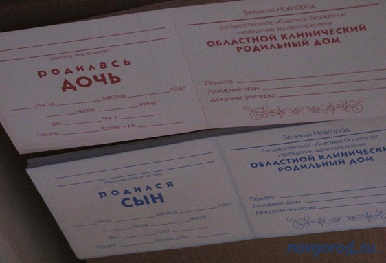 © Новости.Новгород.ру. 
