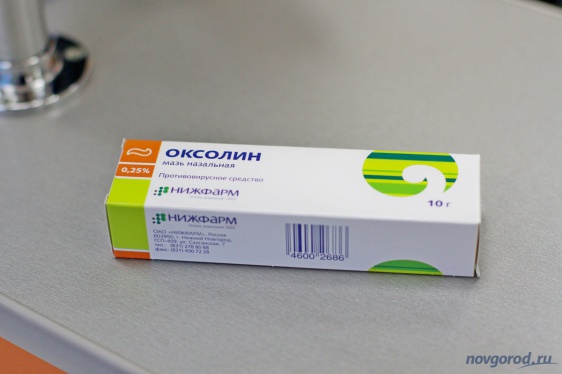 © Новости.Новгород.ру. 