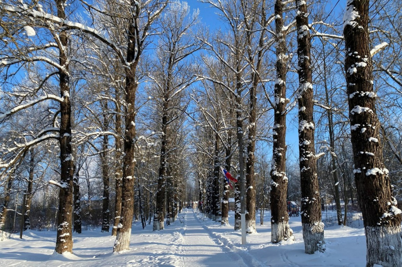 © Центр развития городской среды Новгородской области