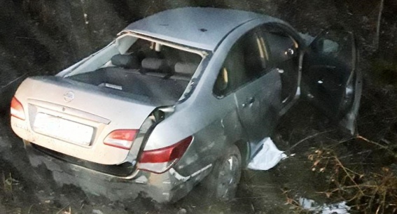 В Боровичском районе автомобиль врезался в дерево. Погибла пассажирка