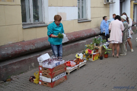 Новгородские власти предложили местным фермерам организовать продажу продукции на улицах Великого Новгорода
