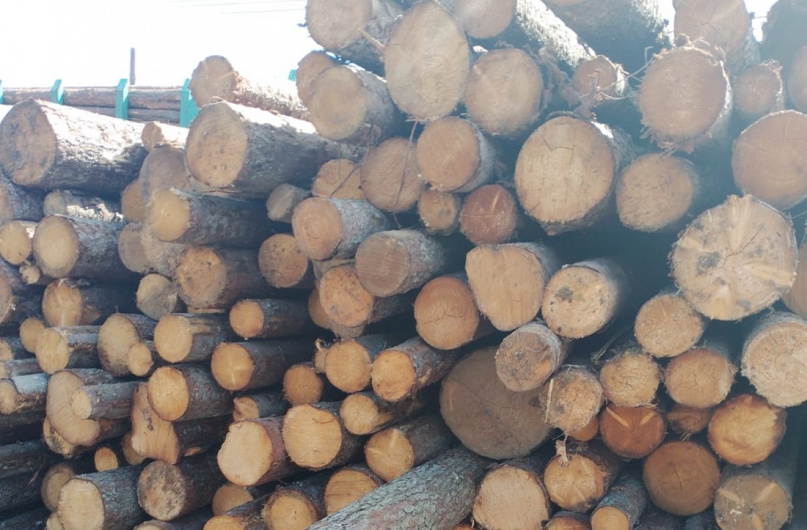 © Пресс-служба Северо-Западного межрегионального управления Россельхознадзора