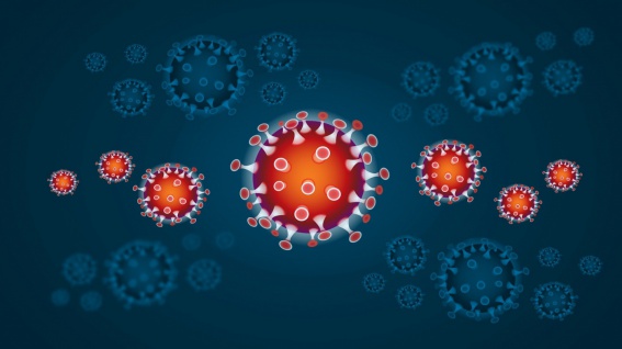 Случаи коронавируса выявлены в Хвойнинском и Солецком районах