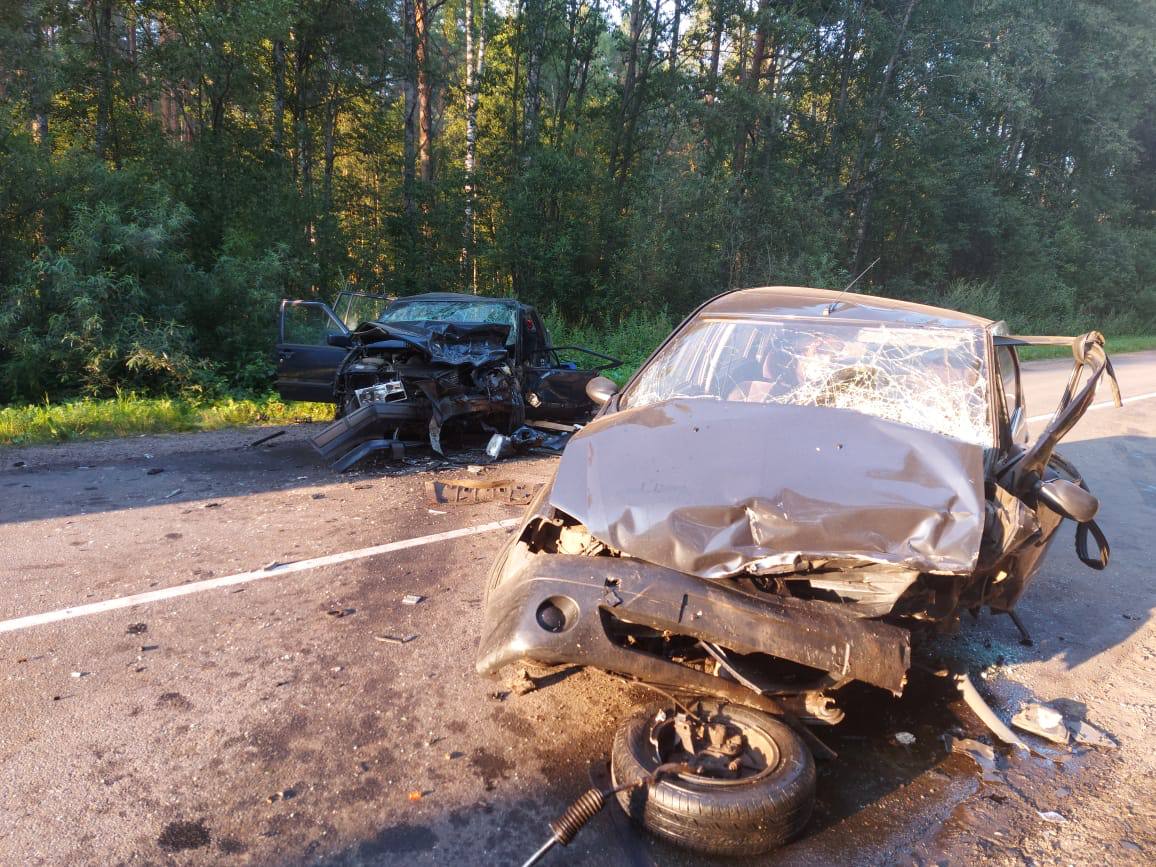 В Старорусском районе в ДТП погиб девятимесячный ребенок. Возбуждено  уголовное дело | 06.08.2022 | Великий Новгород - БезФормата