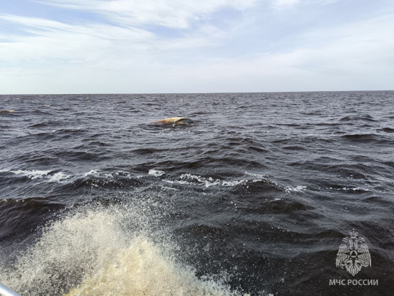 © ГУ МЧС России по Новгородской области