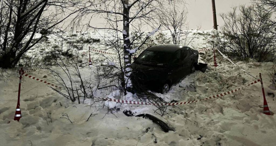 © УГИБДД России по Новгородской области