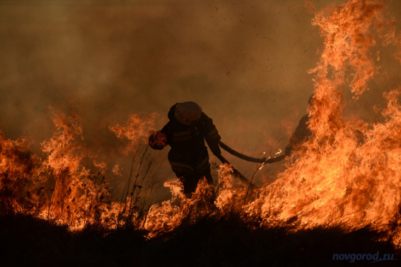 Новгородцев предупреждают о пожароопасной погоде