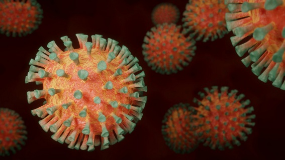 Ещё у 64 новгородцев подтвердили коронавирус