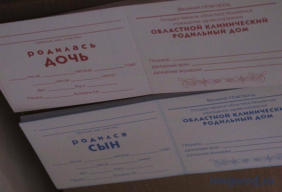 © Новости.Новгород.ру. 