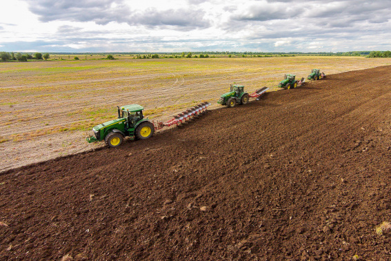В Новгородской области аграрии готовятся собирать урожай ранних сортов картофеля и овощей