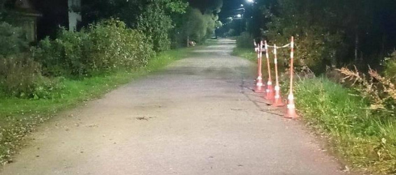 © УГИБДД России по Новгородской области