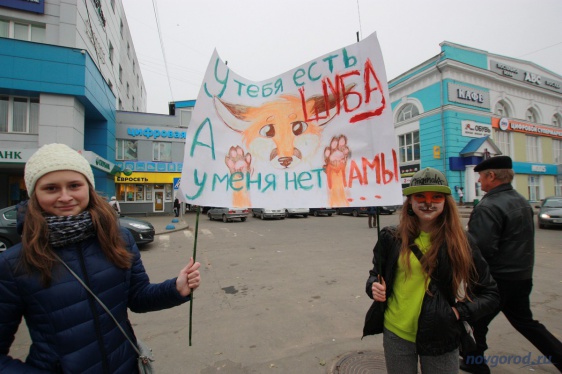 © Новости.Новгород.ру. 