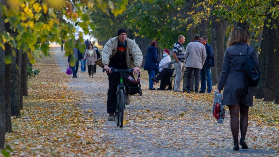 Планируемая велодорога из Москвы в Санкт-Петербург пройдет через Старую Руссу и Великий Новгород