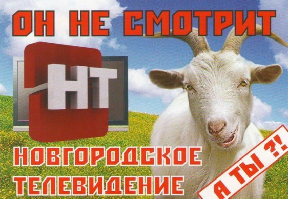 © Новости.Новгород.ру. 
