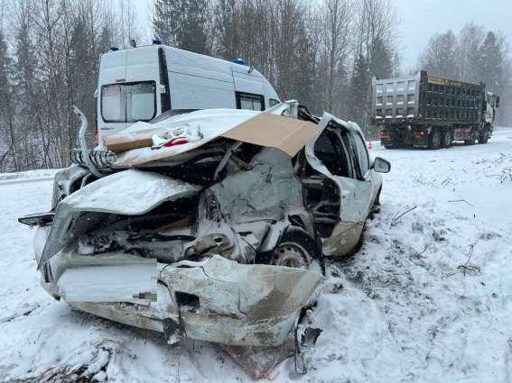 На дорогах Новгородской области после снегопада пострадали восемь человек