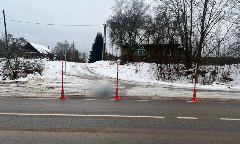 © УГИБДД России по Новгородской области