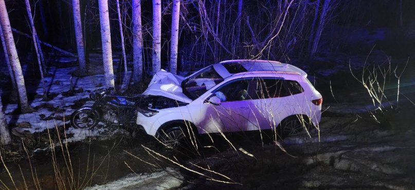 © УГИБДД России по Новгородской области