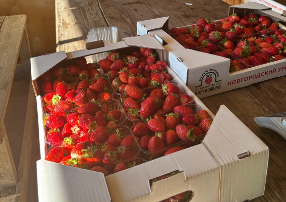 © Министерство сельского хозяйства Новгородской области