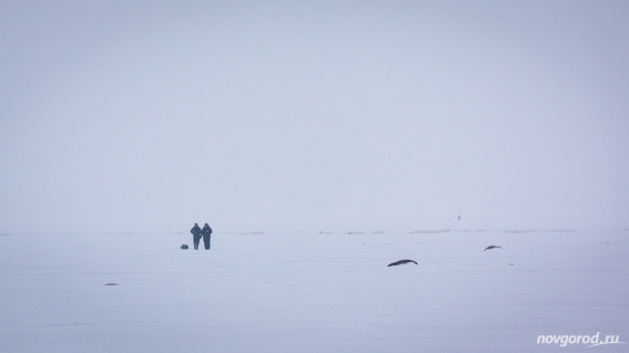 На озере Ильмень трое человек провалились под лед, а один — погиб