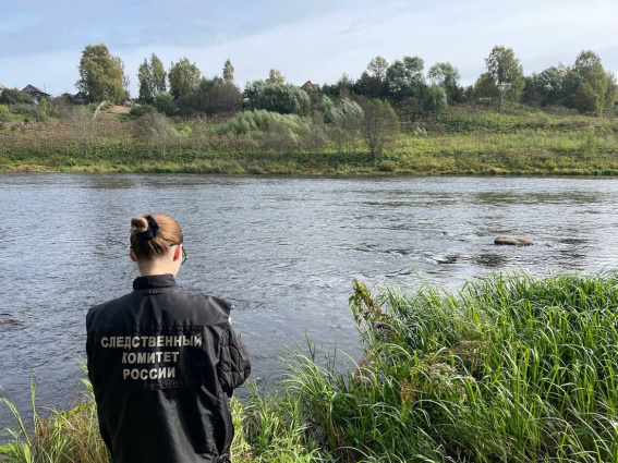 © СУ СКР по Новгородской области