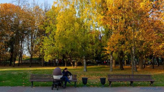 © Фото из архива интернет-портала «Новгород.ру»