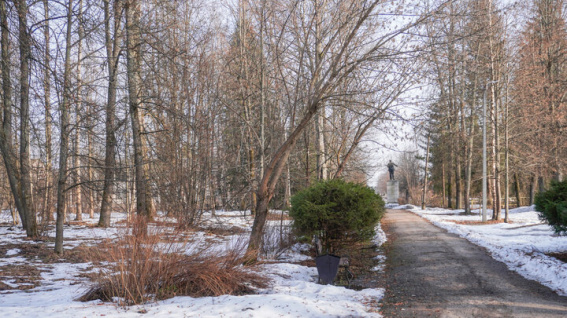 © Центр развития городской среды Новгородской области