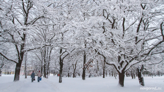 В Новгородской области ожидается сильный снегопад