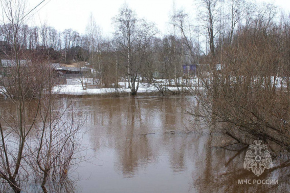 В Новгородской области в зоне подтопления находятся 20 населённых пунктов